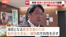 食料品の消費税減税をめぐり農家に給付金を検討　政府