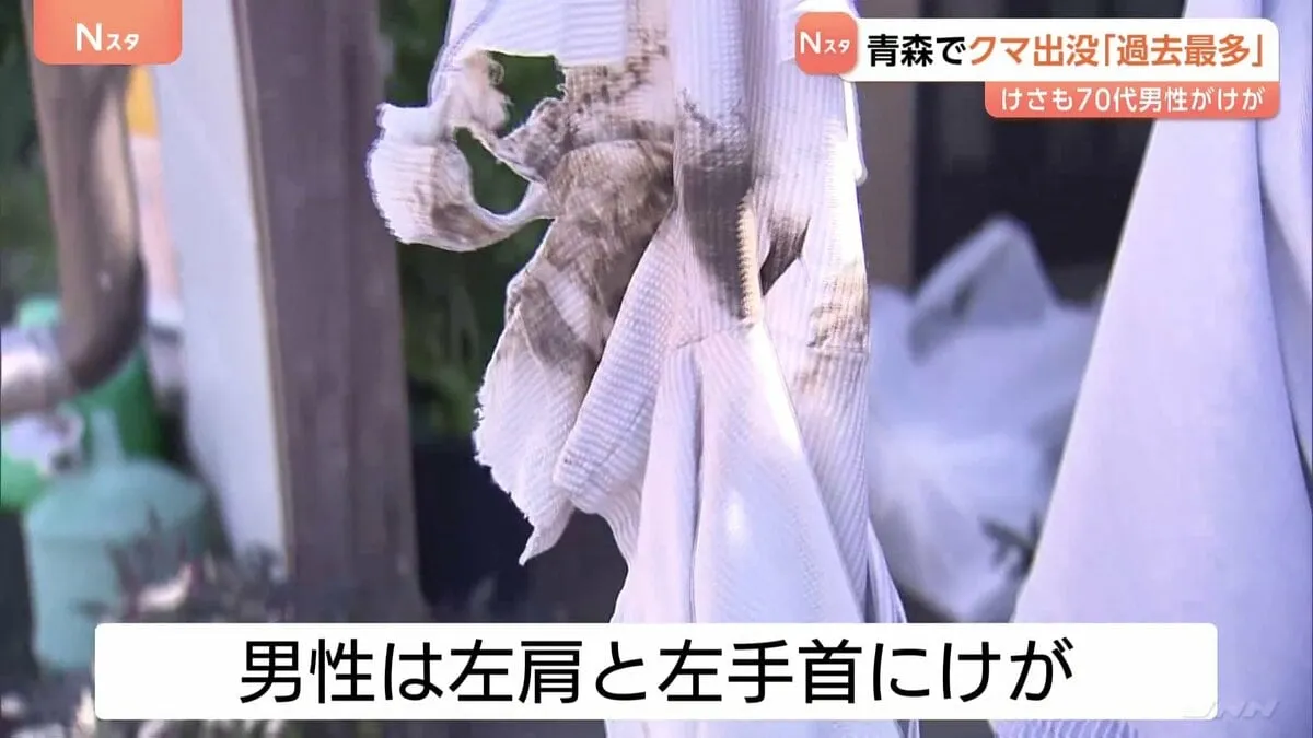 熊の出没数が青森県で過去最多に…1160件で2023年上回る　弘前市では70代男性が路上で襲われけが　先月も女性襲われる