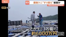 養殖ウニ“すり替え”で約6000万円の被害か　アカウニ3万個分　海上保安部が窃盗事件とみて捜査　熊本・天草市