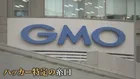 GMO不正アクセス 「攻撃側に重大なミスか」脅迫サイトに特徴的な動き ホワイトハッカーが分析
