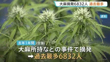 若者にまん延する大麻 20代以下が全体の7割以上…去年1年の大麻事件摘発6832人で過去最多　ネット通じて売人を知るケースが4割以上　警察庁