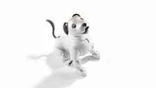 ソニー犬型ロボット「aibo」現行モデルの国内販売終了へ 事業は継続