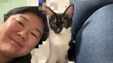 保護猫【 やす子 】〝60グラムの超未熟児〟ハチワレ猫を紹介　無事成長「もう2キロ近くあります！」