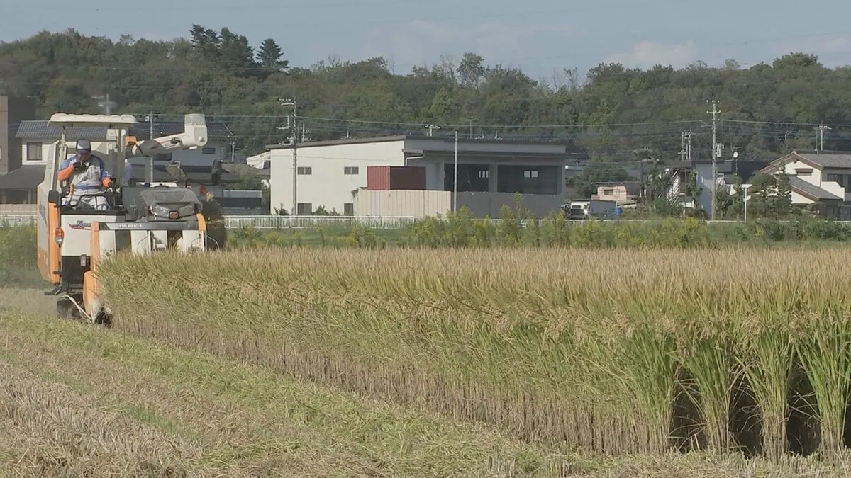 【独自】業者間のコメ取引価格 9月は過去最高値の見通し　スーパーでの価格は6週連続で4000円台 高値続く