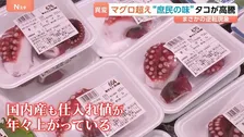 【タコ異変】マグロを超える高値に！国産も高騰で価格の「逆転現象」