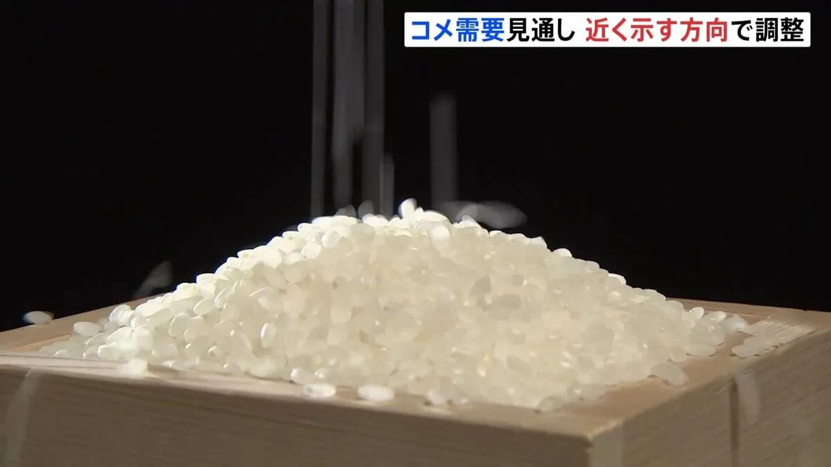 農水省「コメ需要見通し」近く示す方向で調整中　「価格高騰招いた」指摘などから7月は見送り