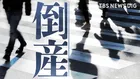 【倒産情報】創業113年のスポーツ用品店が破産開始決定　ピーク時は13億円を超える売上高も…大手との競争やコロナ禍の影響で赤字に 福井市 【東京商工リサーチ】