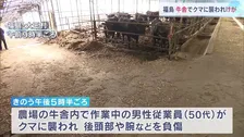 「電気をつけたらクマがいて襲われた」農場で作業中の50代男性が襲われけが…地元猟友会「私たちに気が付いて向かって来たので発砲」で駆除 福島・大玉村