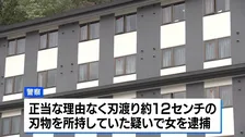 山梨県のホテルの部屋で血を流した女性の遺体　現場近くにいた台湾出身の女を銃刀法違反の疑いで逮捕