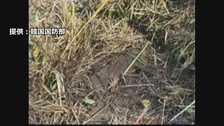 韓国軍「地雷は北朝鮮軍が埋設」　北朝鮮に謝罪と地雷除去を要求　爆発事故で最終調査結果
