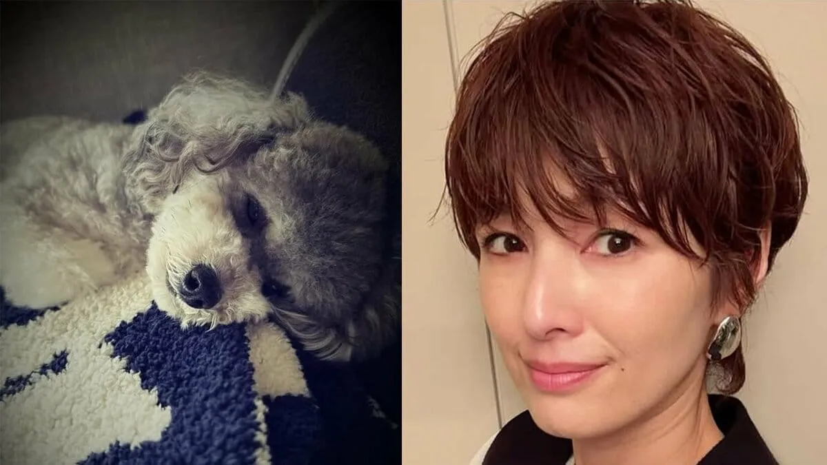 【吉瀬美智子】　1歳10か月の愛犬との別れ「短過ぎるけど、沢山の思い出をありがとう！ずっと一緒だよ！」