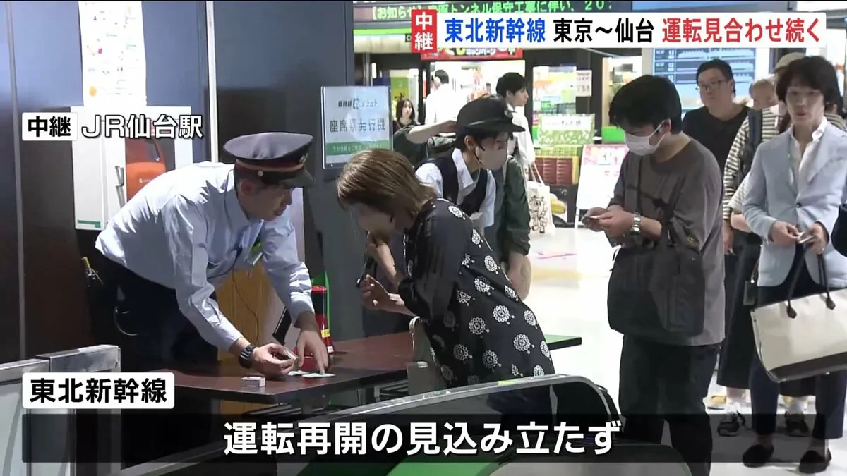 東北新幹線　東京駅～仙台駅の上下線で運転見合わせ続く　回送列車の点検を行っている影響で