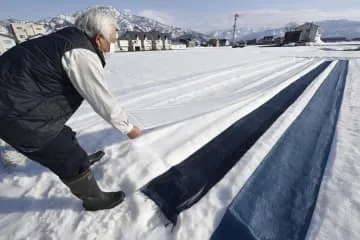 「雪ざらし」で色鮮やかに、新潟