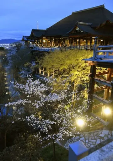 闇夜に浮かぶ京都・清水寺の桜