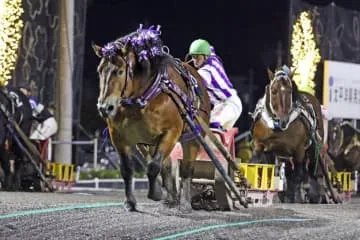 ばんえい競馬、過去最高売り上げ