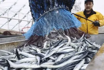 サンマ、温暖化で沖合に移動