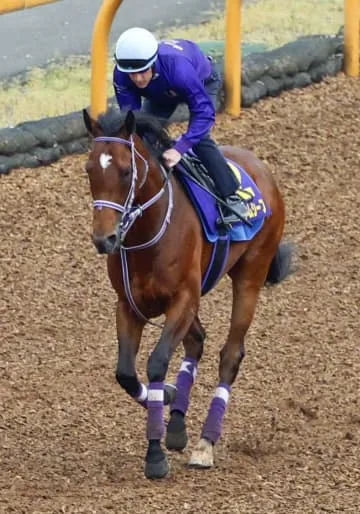 競馬の皐月賞、最終追い切り