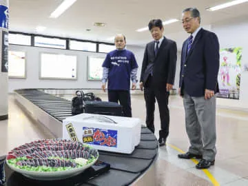 高知空港、カツオがお出迎え