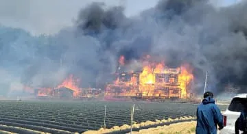 韓国で山火事、民家に延焼