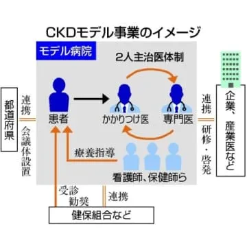 働く世代の腎臓病対策を強化