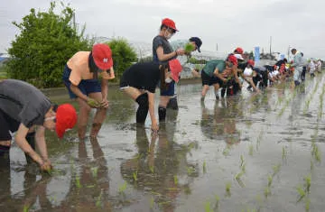 「奇跡の復興米」田植え、大阪