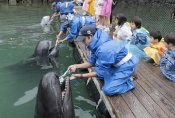 クジラ、口開けごしごし