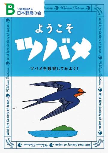 減少するツバメ、見守って