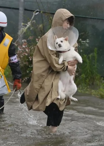 秋田大雨、市街地も冠水