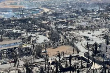 マウイ被災地復旧に「5～8年」