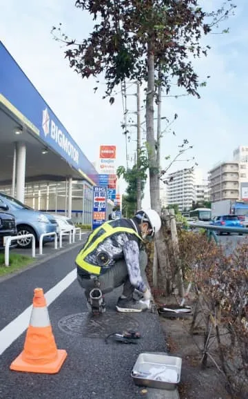 ビッグモーター、都調査で除草剤