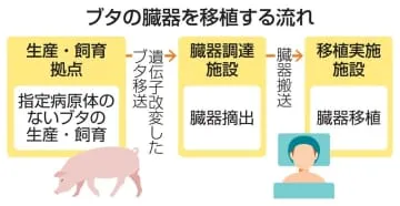 動物臓器の移植指針案を作成へ