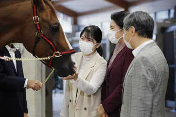 伊勢神宮に贈る神馬と対面