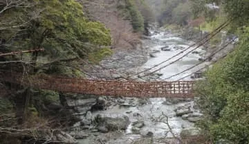 徳島の「祖谷のかずら橋」3年ぶり架け替え