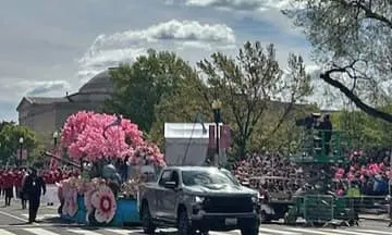 桜祭り、空に響くマーチ