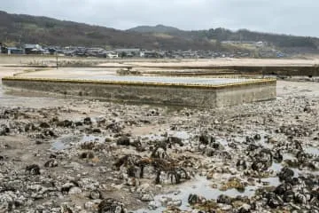 能登地震の隆起海底に新施設も