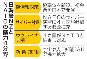 日本で偽情報対策初協議へ