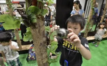 スカイツリーで「大昆虫展」