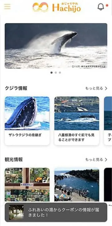 八丈島楽しむアプリ登場