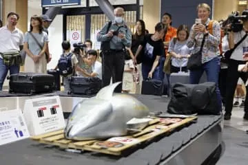 空港ターンテーブルにマグロ出没