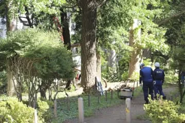 枝落下死亡事故で現場検証