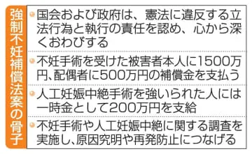 強制不妊「国のおわび」明記