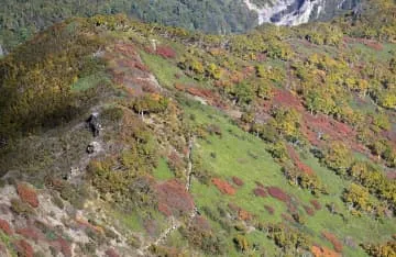 大雪山系黒岳で紅葉見頃