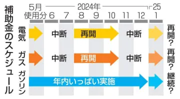 電気ガス支援、来年1月再開有力