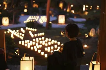 京都・東林院で夜間拝観