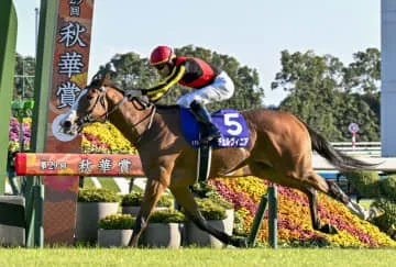 チェルヴィニアが優勝