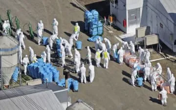 北海道で鳥インフル、今季全国初