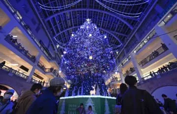 札幌で一足早いクリスマス