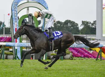 マイルCS、ソウルラッシュ優勝