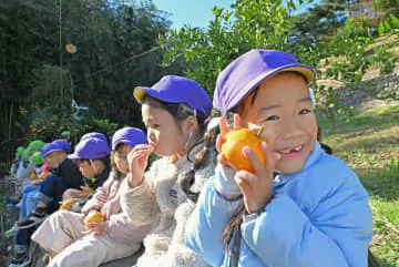 福島で園児がミカン狩り