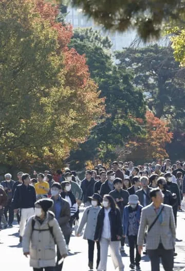 紅葉見頃の皇居・乾通り一般公開